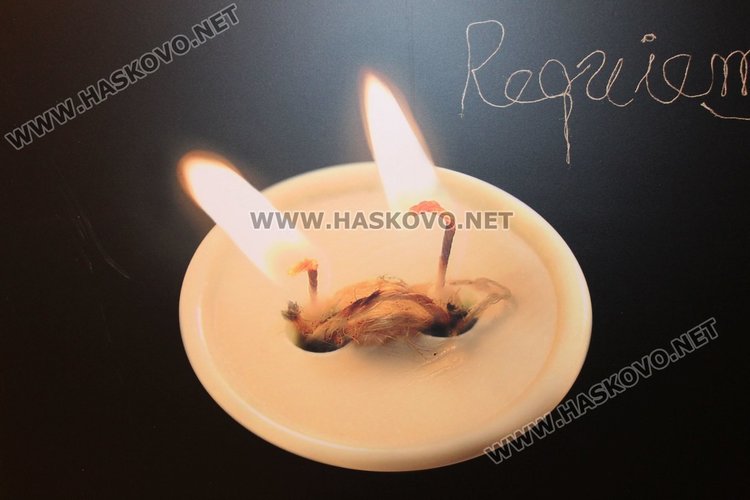 40 плаката показаха в димитровградската галерия