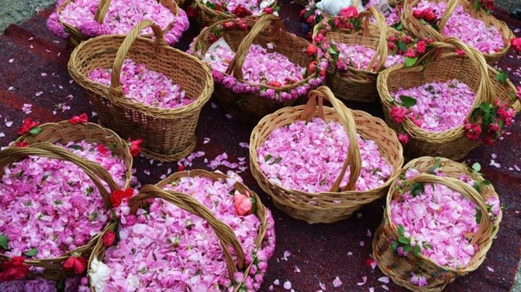 Китай забрани вноса на български храни със съдържание на роза