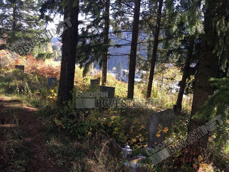 Подкрепящите идеята за частно гробище не се притесняват,  че е в центъра на града