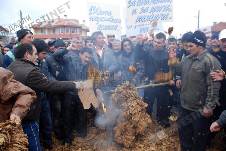 Националната асоциация на тютюнопроизводителите поиска отнемане на лиценза на гръцка фирма заради огромни дългове