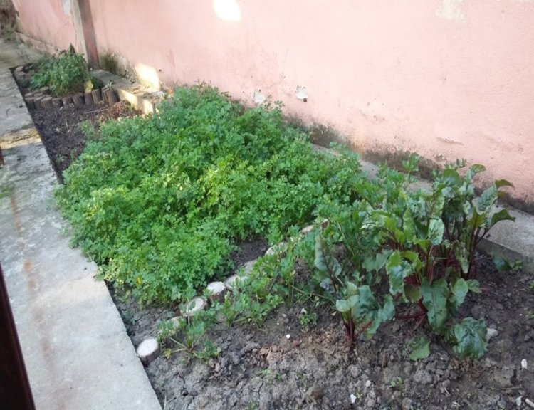 105 деца промениха двора на детската си градина