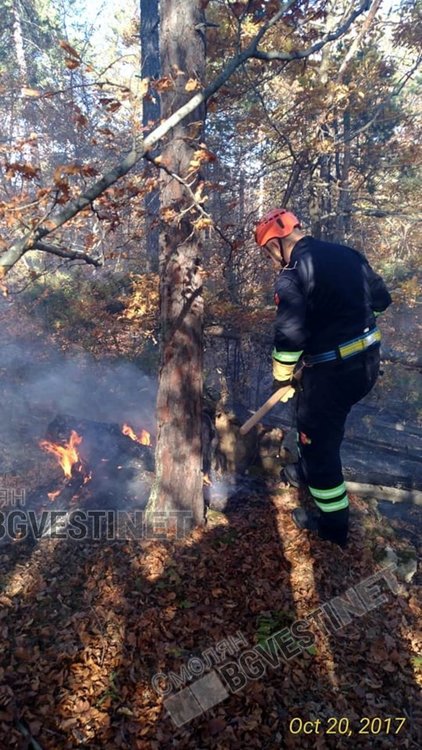 Октомври с 21 пожара: унищожени са 1000 кв.м покрив, над 20 декара гора