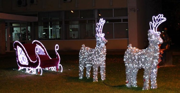 Светещи коледни елени са част от украсата в Димитровград от две години насам