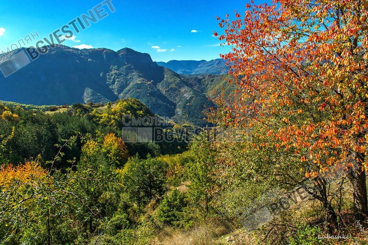 Отново слънце в четвъртък, а дали ще вали