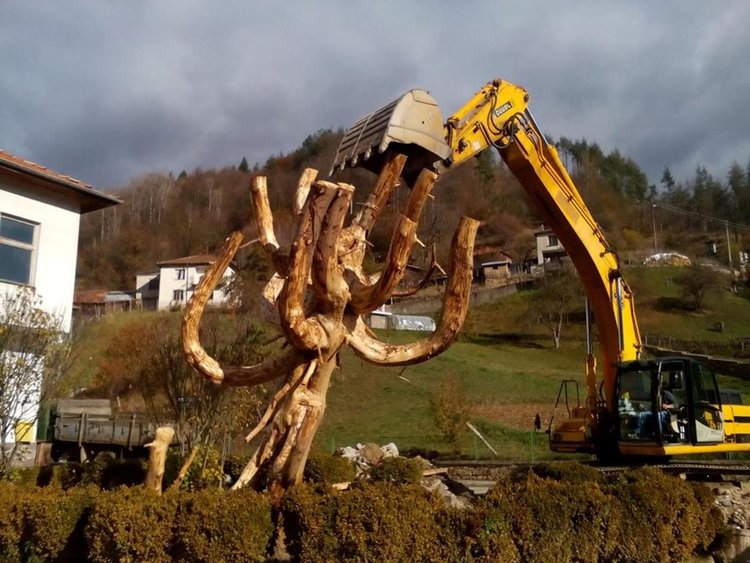 Дървена пластика за Гинес изработват в Могилица