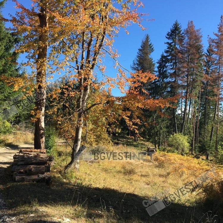 Синоптиците обещават по-топло време днес с температури до 20 градуса