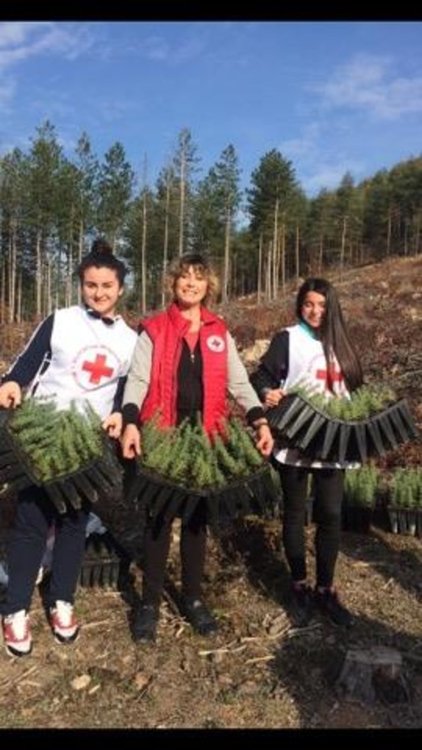 Младежите от БЧК-Джебел с мащабна залесителна акция