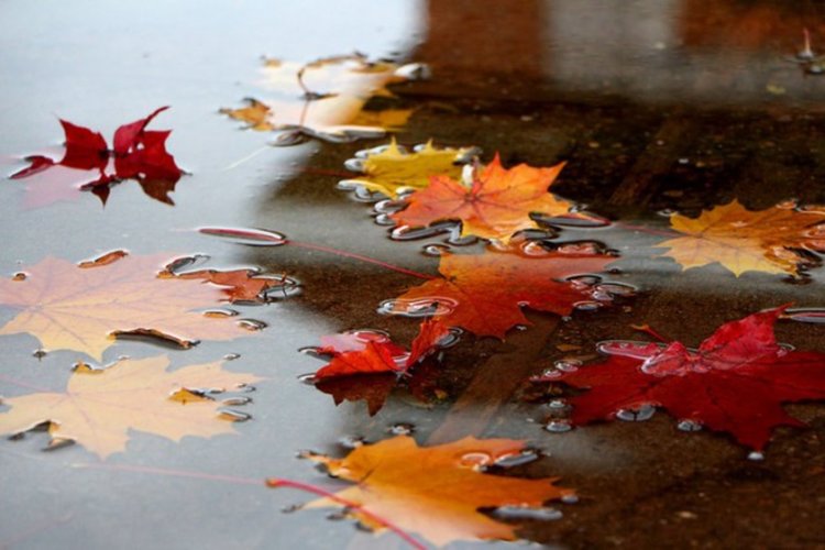 Дъжд, облаци и мъгли в сряда