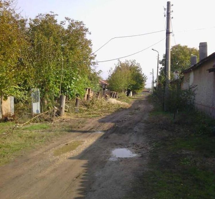 Сигнал за сеч на дървета в димитровградското село Скобелево попаде наш читател, който ни изпрати снимки