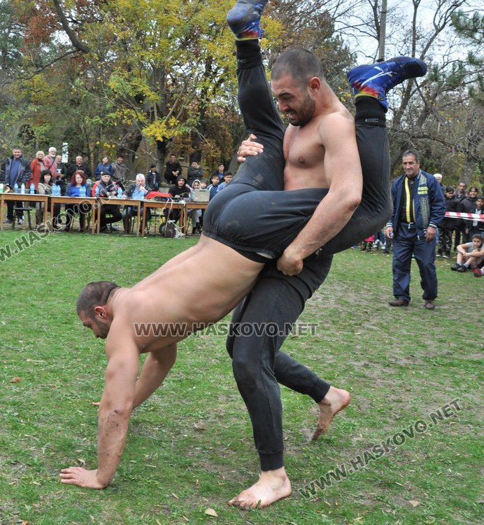 60 пехливани напрягат мишци в Свирково, голямата награда - теле 