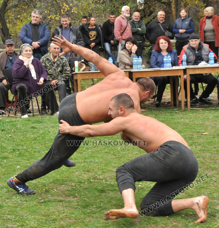 60 пехливани напрягат мишци в Свирково, голямата награда - теле 