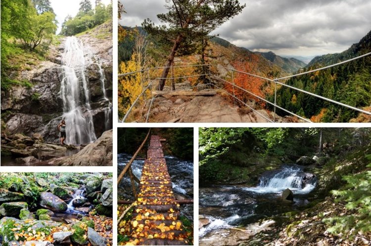 СНИМКАТА Е ИЛЮСТРАТИВНА