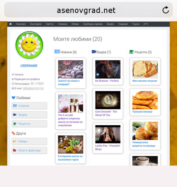 Потребителите на Asenovgrad.NET вече със свой профил 