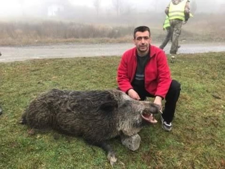 250-килограмов глиган повалиха в „Карабурун“