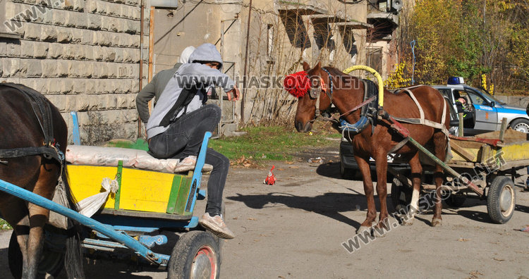 Общинска полиция погна каруците за табели и светлоотразители