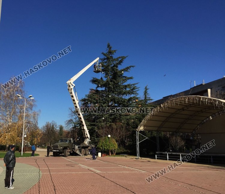 Коледното дърво в Димитровград грейва на 4 декември