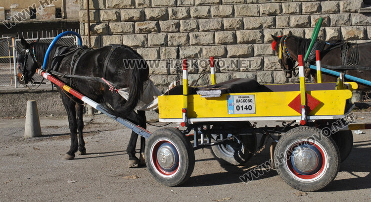 Общинска полиция погна каруците за табели и светлоотразители