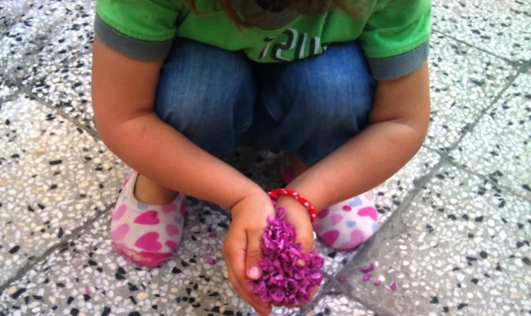 „Игри сред цветя” в Пелин