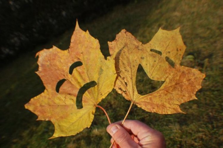 Хладно и облачно  в събота