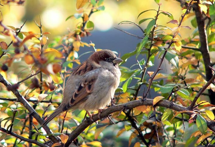 Слънцето пробива в неделя