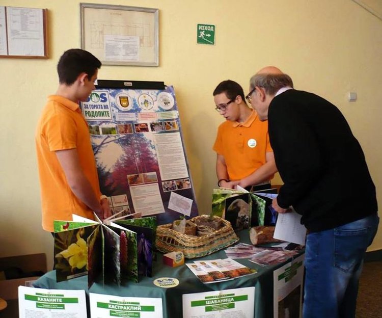   "SOS за гората на Родопите", проектът на деветокласници от Смолян с награда в национално състезание 