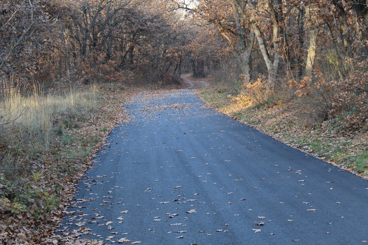 Асфалтират улици в Хасково и общината за около 2,5 млн. лева
