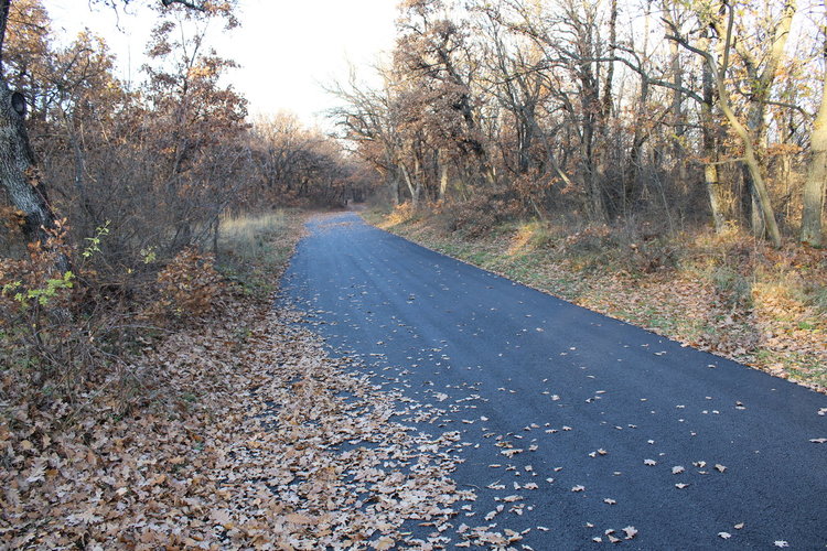 Асфалтират улици в Хасково и общината за около 2,5 млн. лева
