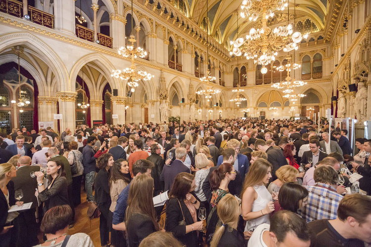 Виенското изложение определи Ивайловградска винарска изба за № 1 в България