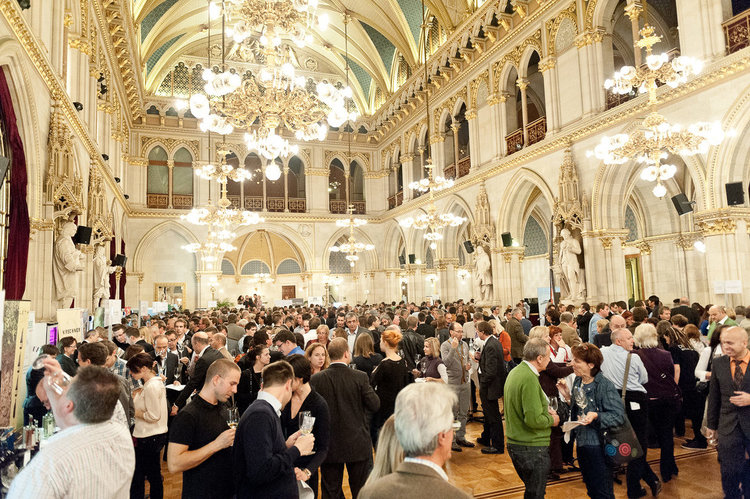 Виенското изложение определи Ивайловградска винарска изба за № 1 в България