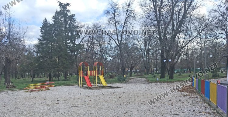 Силният вятър изкорени дървета в Харманли