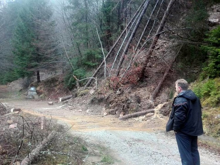 Кметът на Могилица е на място на срутването, което е затворило пътя вчера, но от снимката става ясно, че то вече е разчистено, както и дърветата, всички снимки към материала са на Росен Инджов