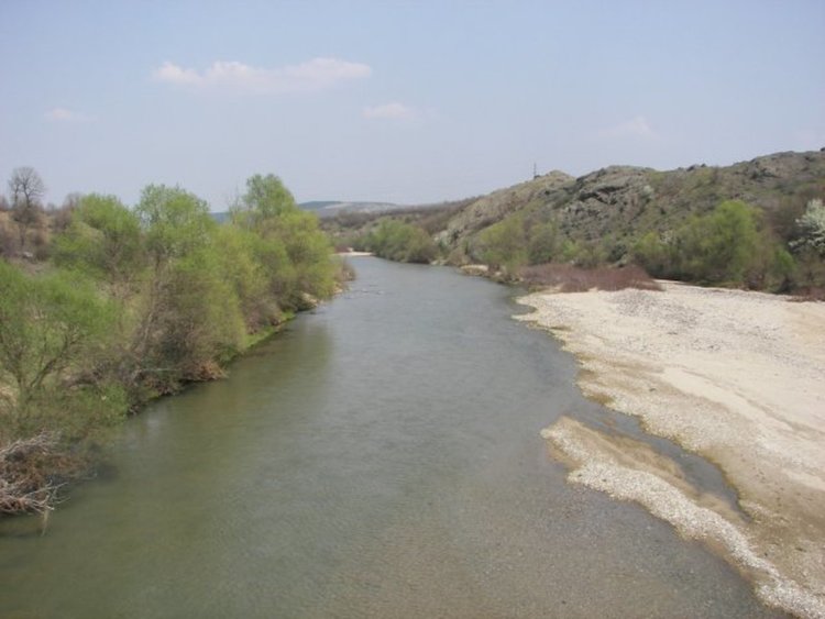 река Върбица