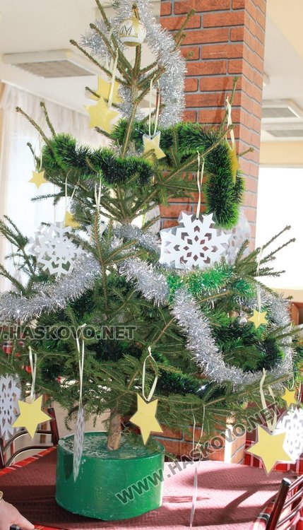 Зарадваха пенсионерските клубове в Димитровград с коледни дръвчета