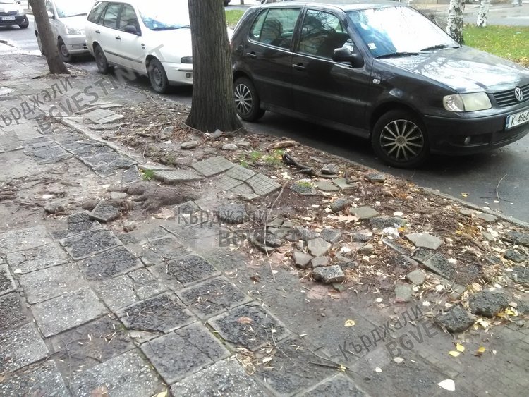  Разбити тротоари предизвикват негодувание у кърджалийци в навечерието на Коледа