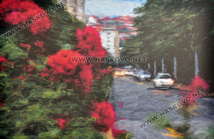 Фотографи с реверанс към изобразителното изкуство в календара на Хасково за 2018 г.