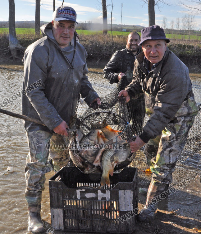 Спецове: Пресният шаран за Никулден трябва да е с червени хриле