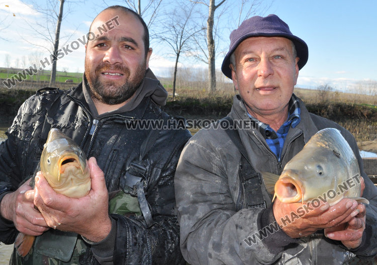 Спецове: Пресният шаран за Никулден трябва да е с червени хриле