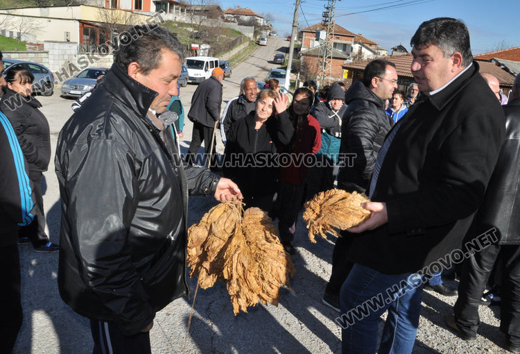Гръцка фирма оставя 1000 тютюнопроизводители без пари