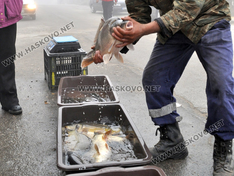Спипаха двама тротоарни търговци на риба, глобите до 2 бона    