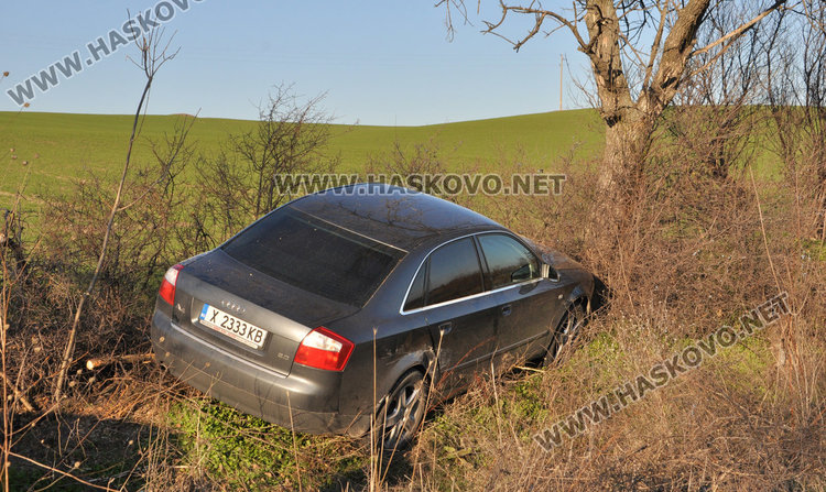 Ауди излетя от пътя за Баните и кацна до дърво