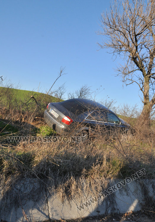 Ауди излетя от пътя за Баните и кацна до дърво