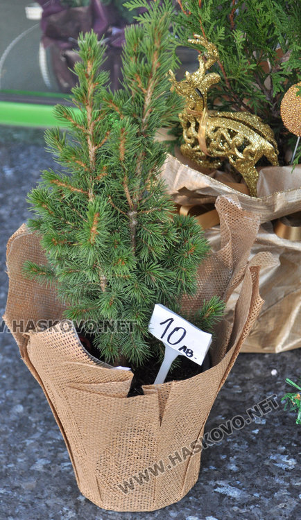 Коледното пазаруване стартира, подаръците от естествени материали са на мода