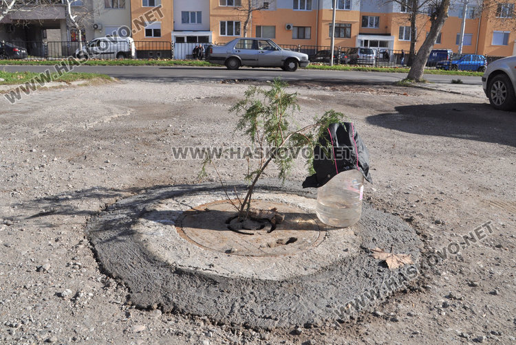 два дни след нашата публикация