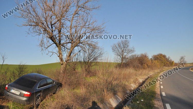 Ауди излетя от пътя за Баните и кацна до дърво