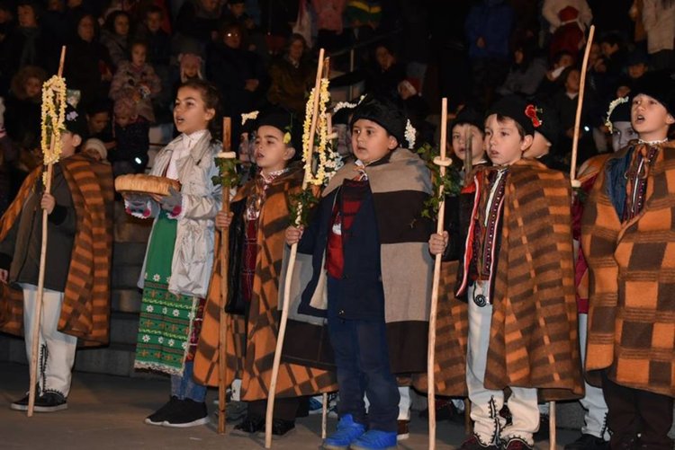 Засия коледното дърво в Асеновград, в понеделник грейват светлините в градския парк