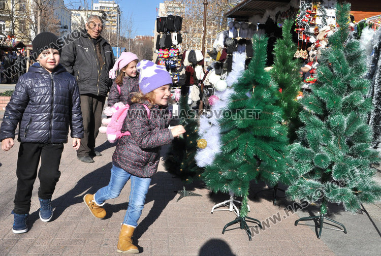 Хасково с подновена коледна украса за 14 000 лeва
