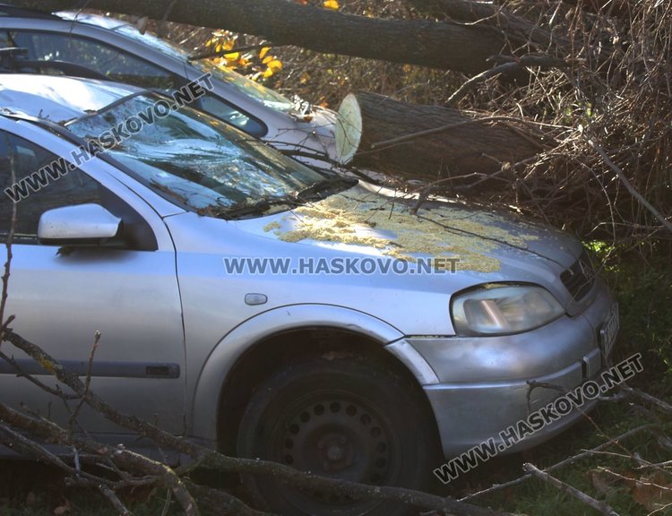 Дърво падна върху две коли заради силния вятър