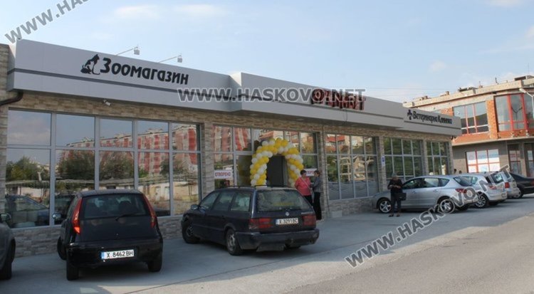 В Димитровград организират пак благотворителен базар за бездомните животни 