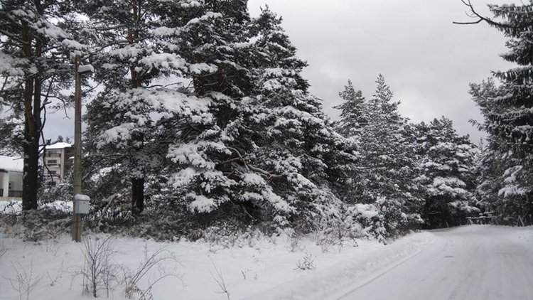 Ограничения за товарни коли през някои проходи в Родопите