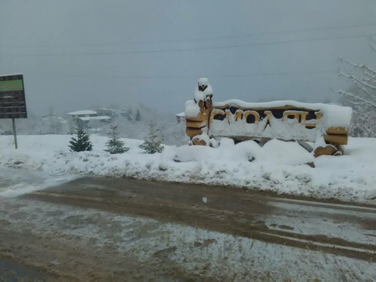 Сложиха нова елхичка на мястото на изтръгнатата на входа на Смолян